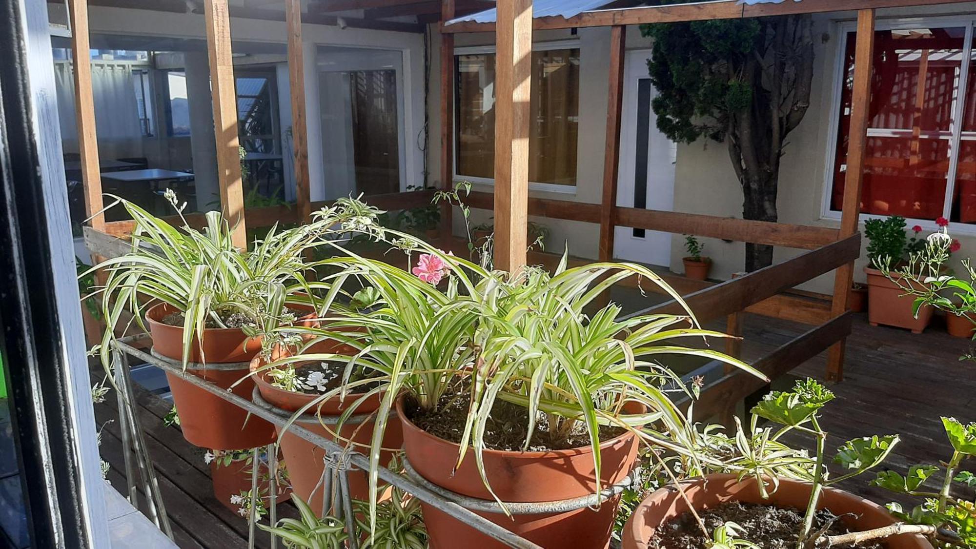 San Francisco Διαμέρισμα Μαρ ντελ Πλάτα Εξωτερικό φωτογραφία