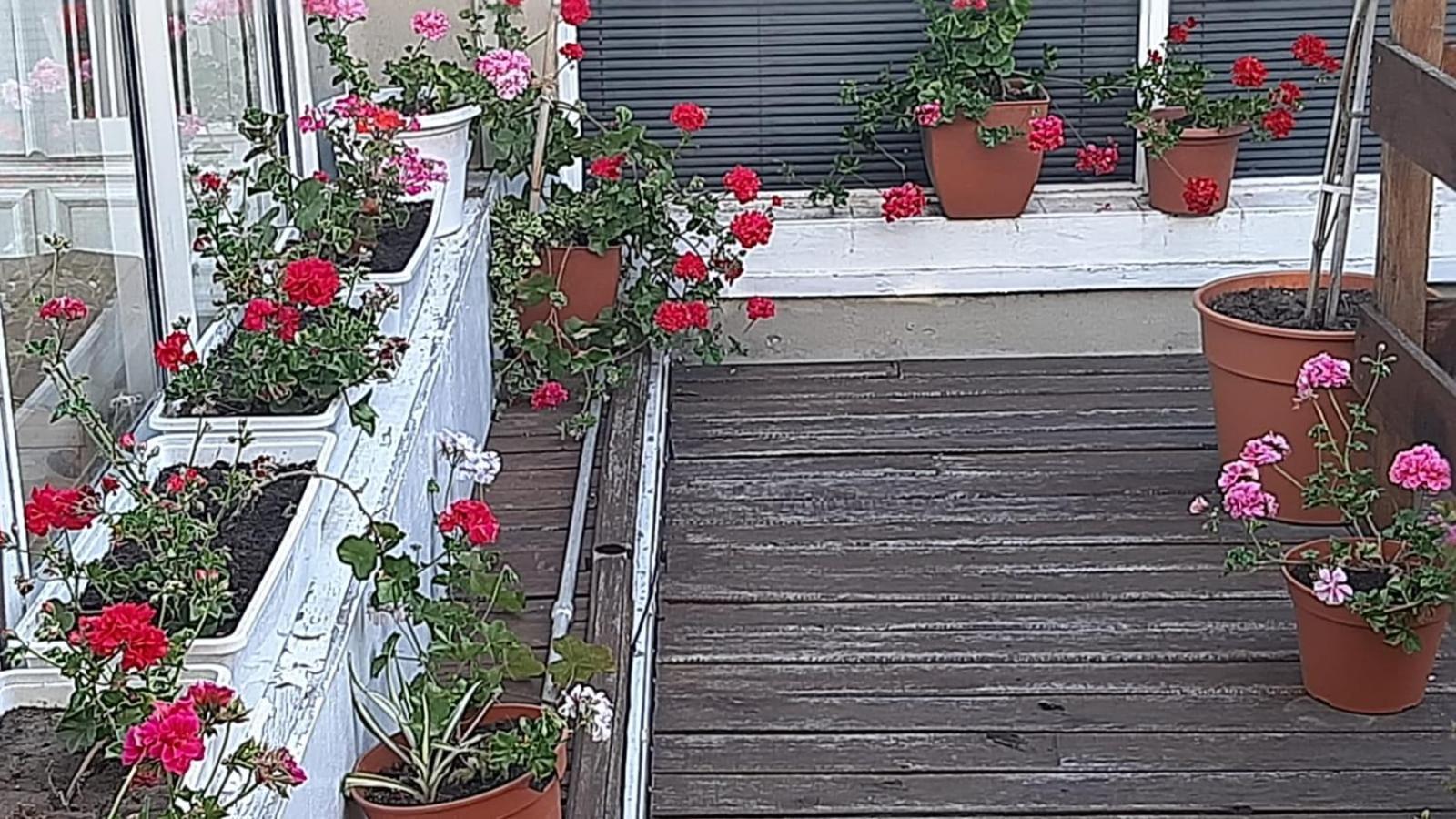 San Francisco Διαμέρισμα Μαρ ντελ Πλάτα Εξωτερικό φωτογραφία